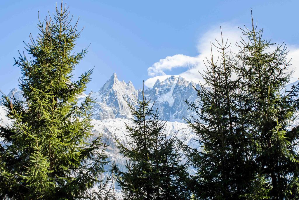 Chalet La Source - Chamonix All Year Eksteriør billede